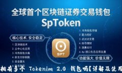 可以拥有多个 Tokenim 2.0 钱包吗？详解及使用指南