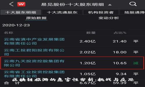 区块链旅游的危害性分析：挑战与反思