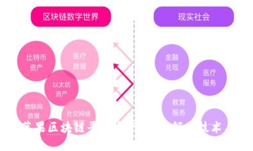 美国苹果区块链平台盘点：十大领先技术与应用