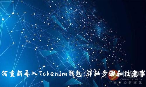 如何重新导入Tokenim钱包：详细步骤和注意事项