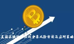 美国区块链协议的主要风险分析及应对策略