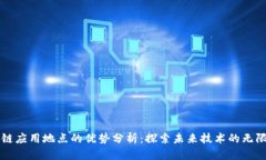 区块链应用地点的优势分析：探索未来技术的无