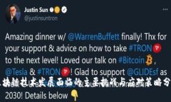 区块链技术发展面临的主要挑战与应对策略分析