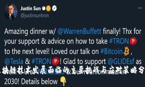 区块链技术发展面临的主要挑战与应对策略分析