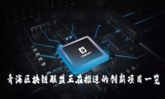 青海区块链联盟正在推进的创新项目一览