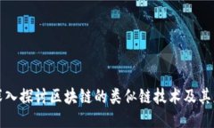 : 深入探讨区块链的类似链技术及其应用