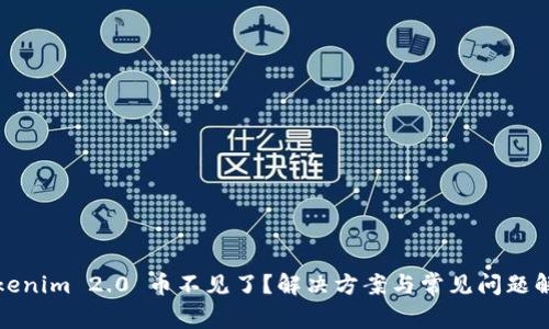 Tokenim 2.0 币不见了？解决方案与常见问题解析