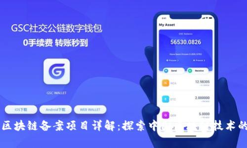国家区块链备案项目详解：探索中国区块链技术的未来
