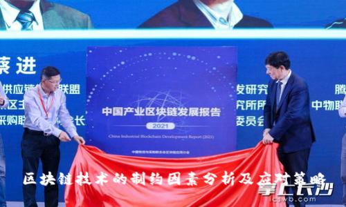 区块链技术的制约因素分析及应对策略