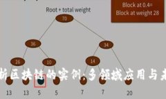深度解析区块链的实例：多领域应用与未来发展
