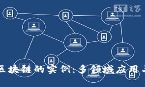 深度解析区块链的实例：多领域应用与未来发展