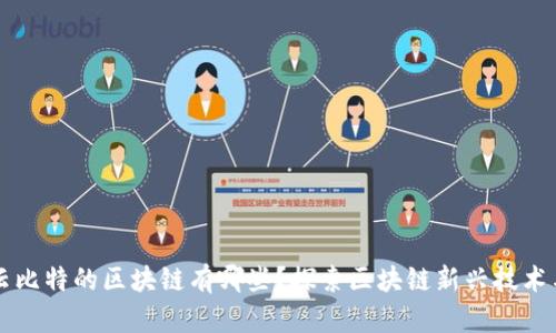 类次云比特的区块链有哪些？探索区块链新兴技术与应用
