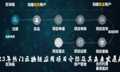 2023年热门区块链应用项目介绍及其未来发展趋势