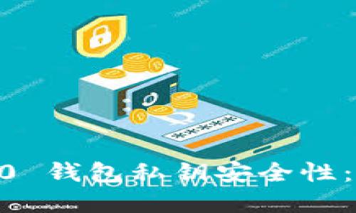 Tokenim 2.0 钱包私钥安全性：必须加密吗？