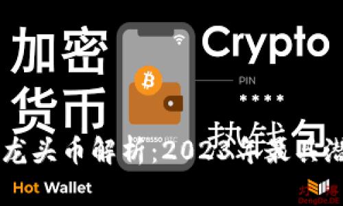 区块链领域的龙头币解析：2023年最具潜力的加密货币