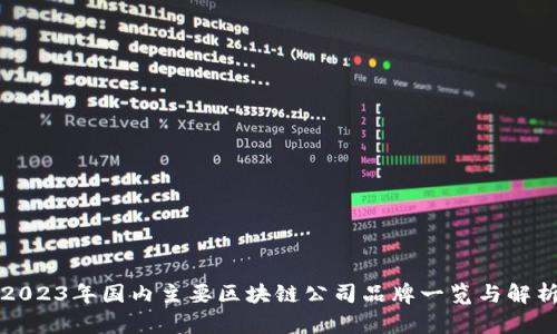 2023年国内主要区块链公司品牌一览与解析
