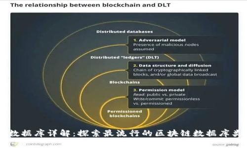 区块链上的数据库详解：探索最流行的区块链数据库类型及其应用