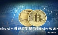 什么是Tokenim转账？了解Tokenim的大小写规则