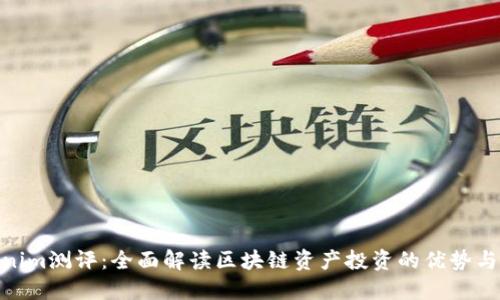 Tokenim测评：全面解读区块链资产投资的优势与风险