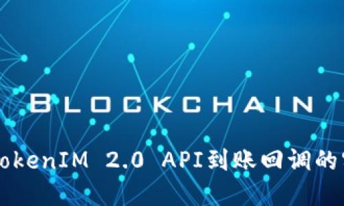 深入了解TokenIM 2.0 API到账回调的实现与应用