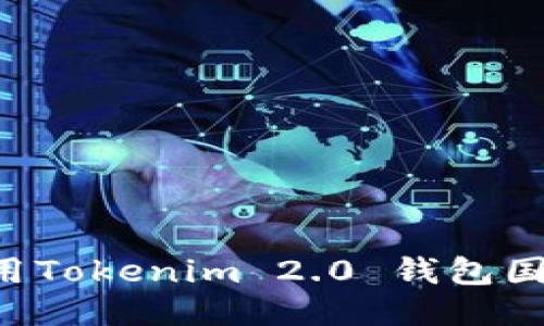 如何下载并使用Tokenim 2.0 钱包国际版：详尽指南