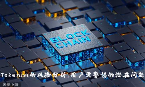 Tokenim的风险分析：用户需警惕的潜在问题