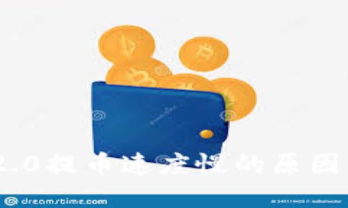 TokenIM 2.0提币速度慢的原因与解决方案