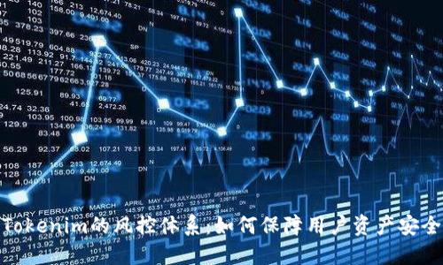 Tokenim的风控体系：如何保障用户资产安全