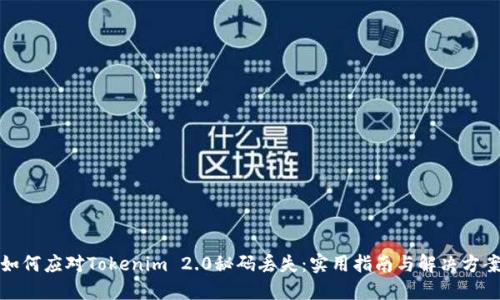 如何应对Tokenim 2.0秘码丢失：实用指南与解决方案