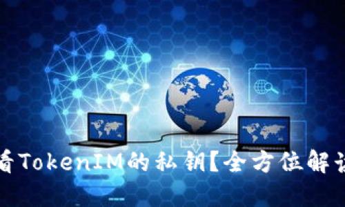 如何安全查看TokenIM的私钥？全方位解读与实用指南