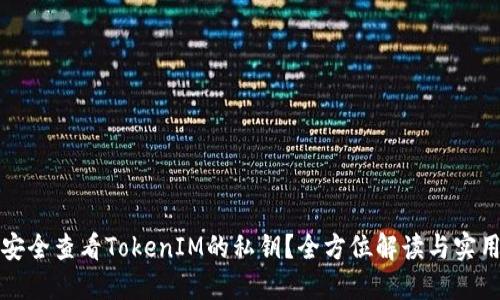 如何安全查看TokenIM的私钥？全方位解读与实用指南