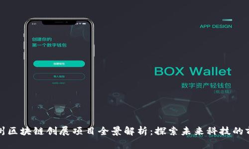 郑州区块链创展项目全景解析：探索未来科技的前沿