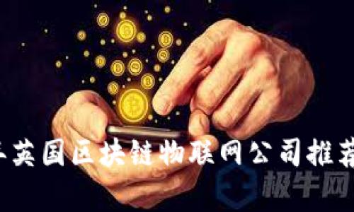 2024年英国区块链物联网公司推荐与分析