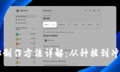 区块链咖啡制作方法详解：从种植到冲泡的全流