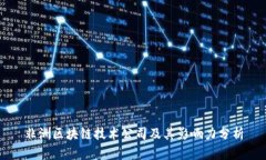 非洲区块链技术公司及其影响力分析