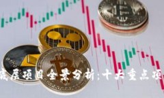 2023年区块链底层项目全景分析：十大重点项目及
