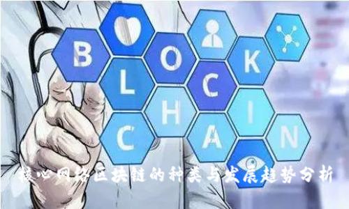 核心网络区块链的种类与发展趋势分析