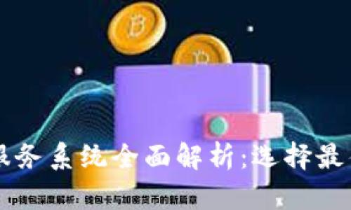 区块链存储服务系统全面解析：选择最佳方案的指南