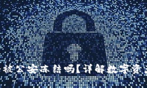 Tokenim冷钱包会被公安冻结吗？详解数字资产安全与法律风险