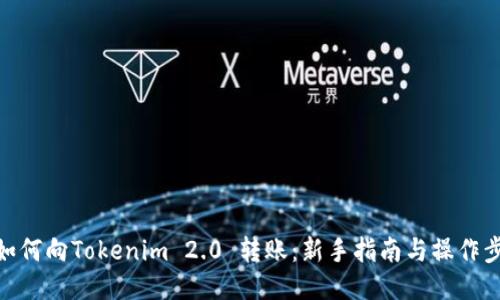 : 如何向Tokenim 2.0 转账：新手指南与操作步骤